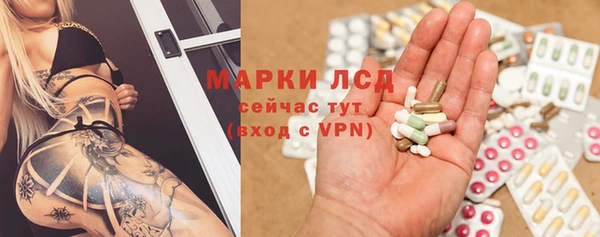 spice Аркадак
