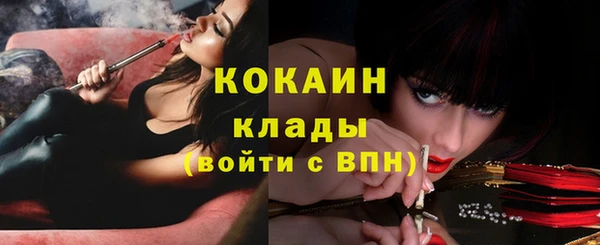 спайс Алексин