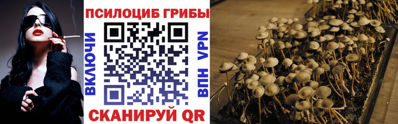 Псилоцибиновые грибы прущие грибы Бологое